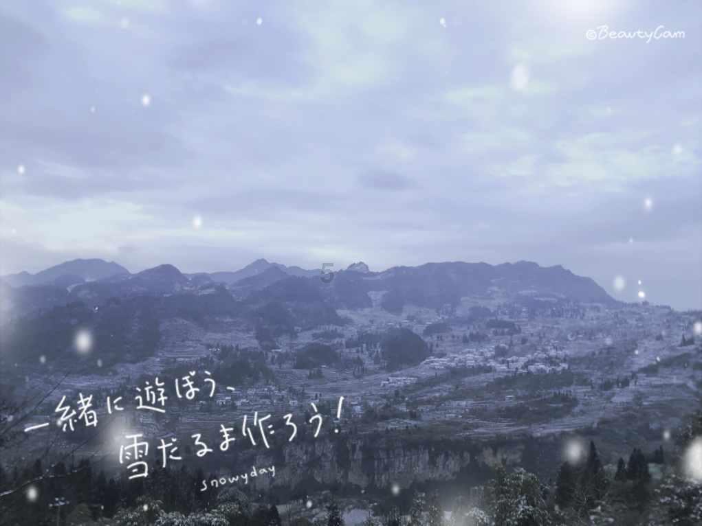 蜜蜂进屋十大预兆